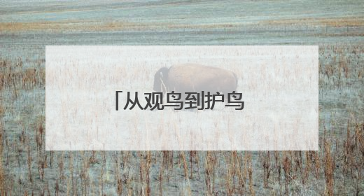 从观鸟到护鸟 一起守护蓝天的精灵 西安野生鸟类种类达467种